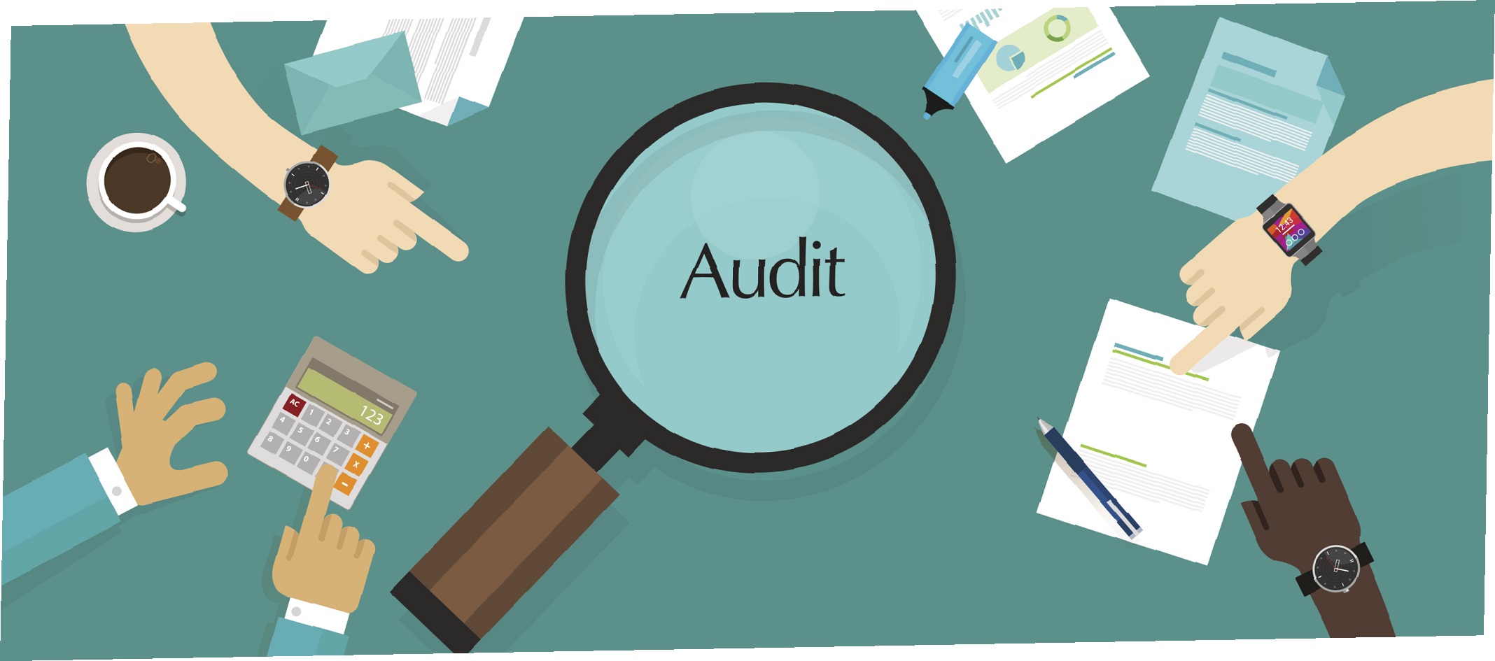 my website auditor my website auditor